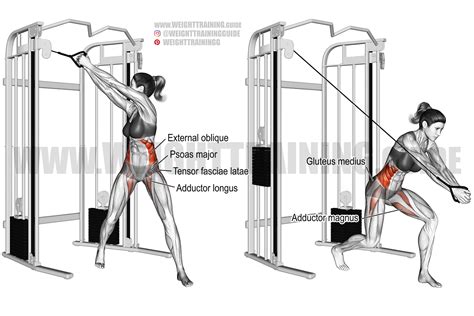 Cable wood chop exercise instructions and video | Weight Training Guide