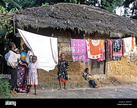 Traditional African House In Tanzania East Africa Stock Photo Alamy