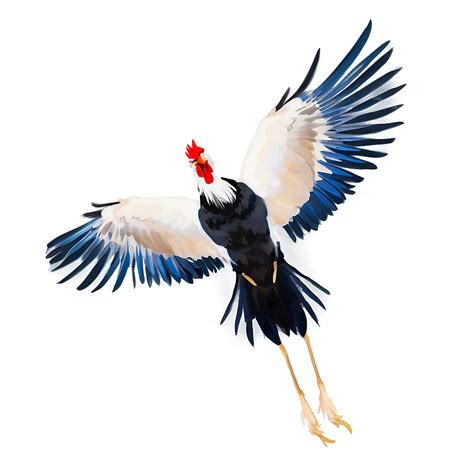 Download Rooster In Flight Png 05242024