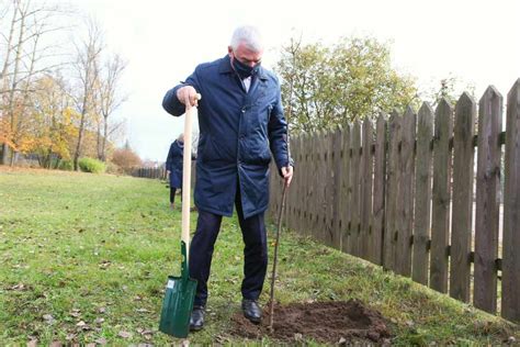 Nasadzenia Drzew I Krzew W Miododajnych Sozosfera Ochrona Rodowiska