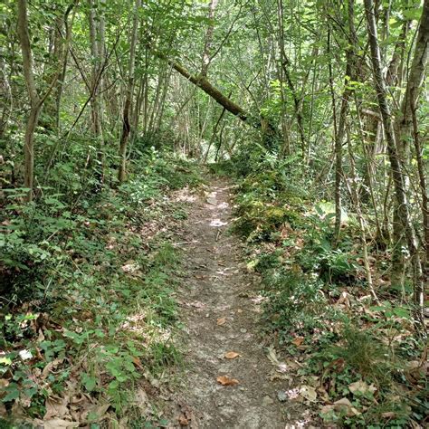 Charente Maritime Rando VTT Mazeray Fenioux