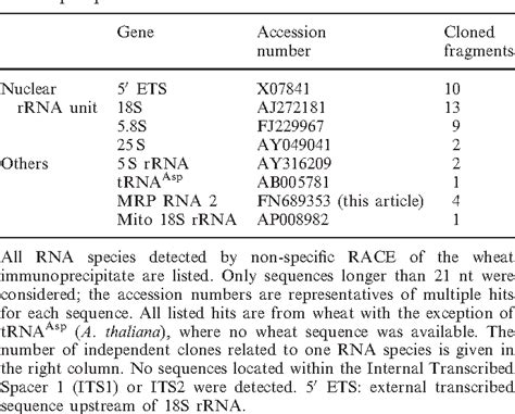 Table 1 from RNase MRP RNA and RNase P activity in plants are ...