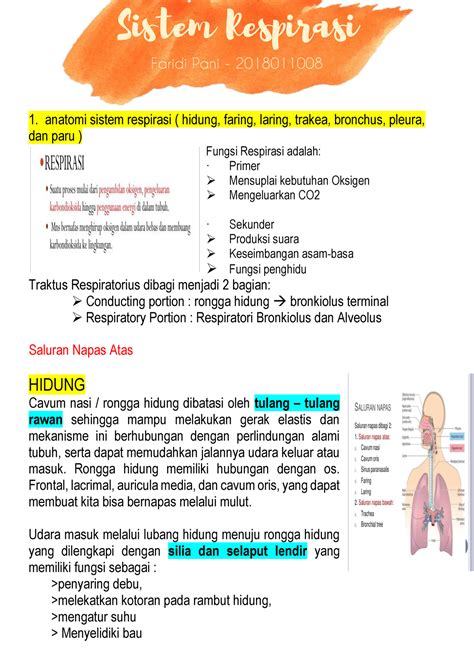 Catatan Respirasi 1 Anatomi Sistem Respirasi Hidung Faring Laring Trakea Bronchus