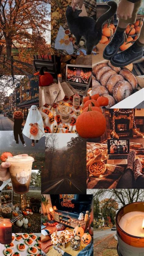 Harvest Harmony Collages Of Autumn S Beauty Pumpkin Donut Fall