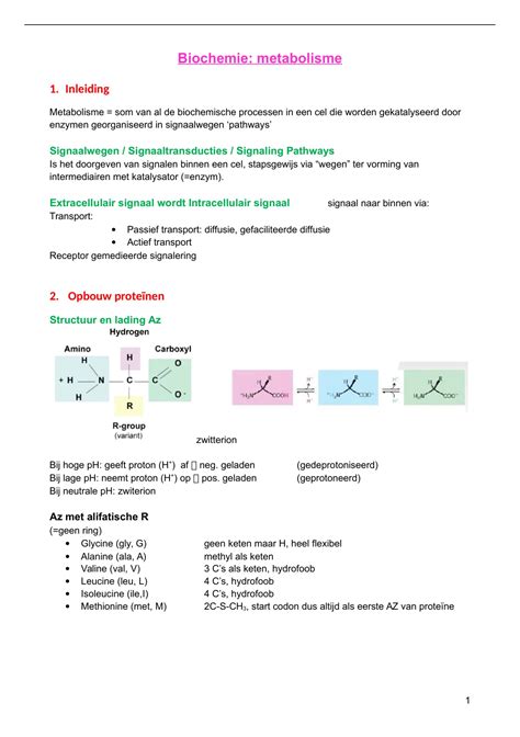 Samenvatting Metabolisme 1ste Jaar 2de Semester Metabolisme Stuvia BE