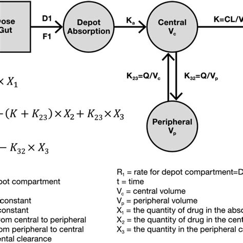 Population Pharmacokinetic PK Model Diagram For Zanubrutinib