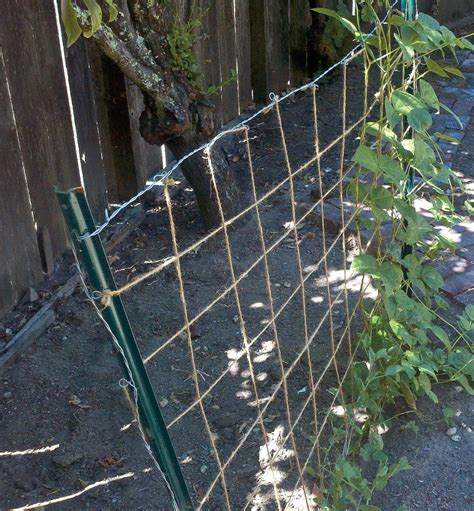 Wire Trellis