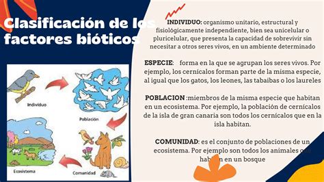 Biocenosis Y Sus Caracteristicas Mas Importantes Ppt Descarga Gratuita