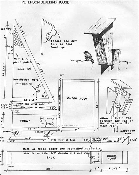 Cardinal Birdhouse Plans Free Printable Unlike Most Birds Cardinals Don T Actually Use