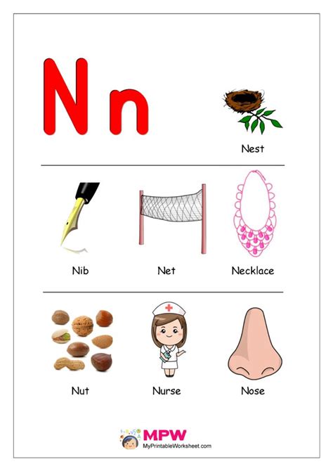 Things That Begin With The Letter N