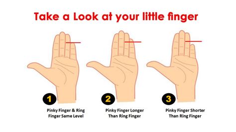 Personality Test Your Pinky Finger Length Reveals Your Hidden