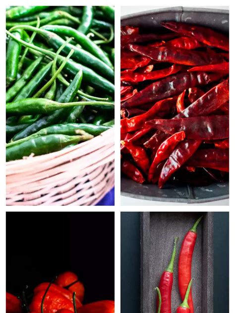 17 Types Of Chillies Grown In India Their Uses And Spiciness Times