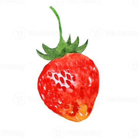 Strawberry Watercolor Painting 20482784 Png