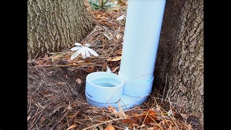 Diy Water Station For Wildlife In Your Backyard Youtube