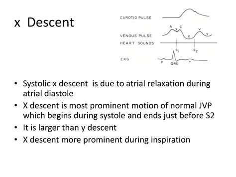 Ppt Jugular Venous Pressure And Waveforms Powerpoint Presentation