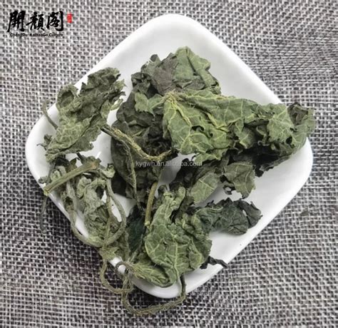 Kaiyange Natural Dried Stinging Fragment Nettle Leaves Urtica Spec Herbal Tea Growth Wholesale