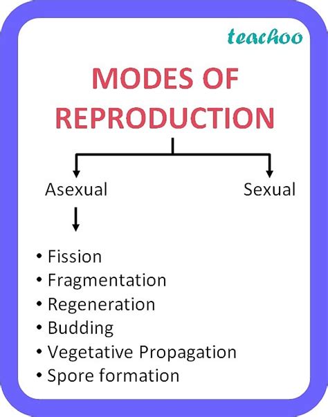 Class 10 Modes Of Reproduction Types Examples Flow Chart