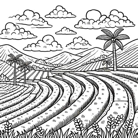sawah  dicetak