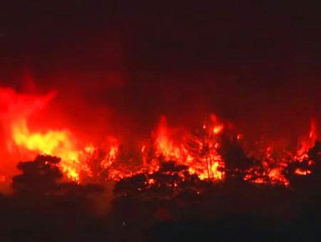 Cientos De Hect Reas De Bosque Quemadas Por Los Incendios En Turqu A