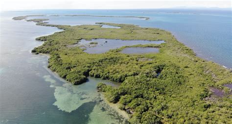 Plot On Tobacco Caye Range Plots For Sale