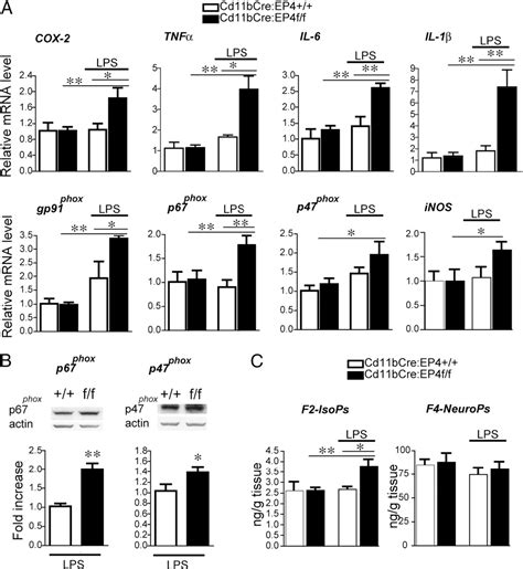 Figure 5 from The Prostaglandin E2 E-Prostanoid 4 Receptor Exerts Anti ...