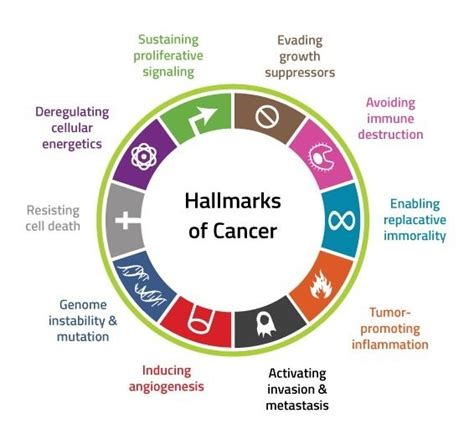 Hallmarks Of Cancer Panel Collection