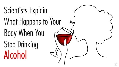 Scientists Explain What Happens to Your Body When You Stop Drinking Alcohol