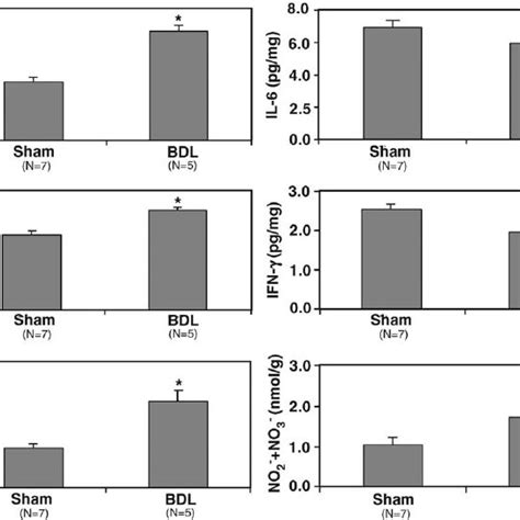 Plasma Cytokines Concentration Determined In Serum From Sham Operated Download Scientific