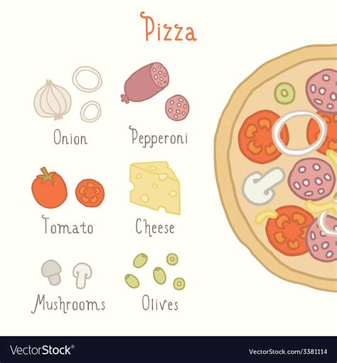 Regular pizza ingredients Royalty Free Vector Image