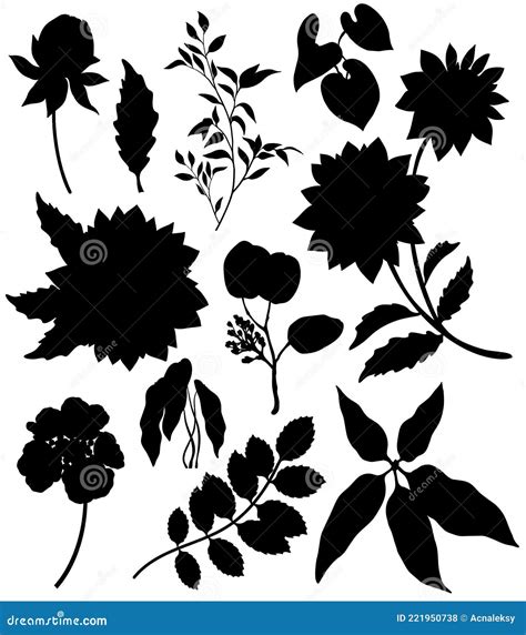 Floral Set Of Plant Silhouettes Isolated On White Background Stock Vector Illustration Of