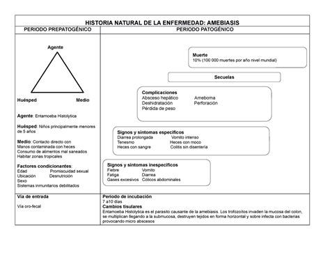 Historia Natural De La Amebiasis Historia Natural De La Enfermedad Amebiasis Periodo