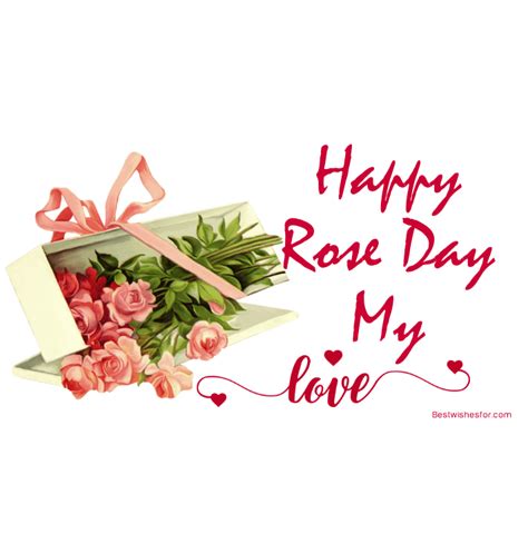 Happy Rose Day Wishes Messages And Sayings Cards Best Wishes