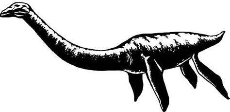 130+ Plesiosaur Drawing Stock Illustrations, Royalty-Free Vector ...