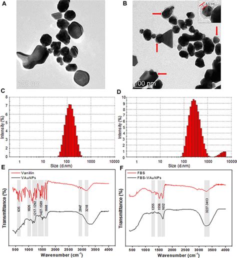 Frontiers Reduced Genotoxicity Of Gold Nanoparticles With Protein