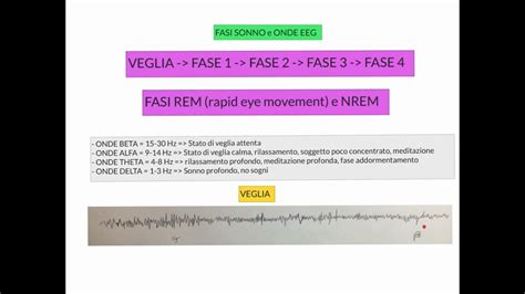 CORSO DI FISIOLOGIA UMANA LEZIONE 74 DI 81 NEUROFISIOLOGIA PARTE