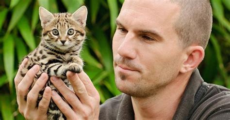 Meet the Rusty-Spotted Cat, a Wild Feline Weighing 3.5 Pounds