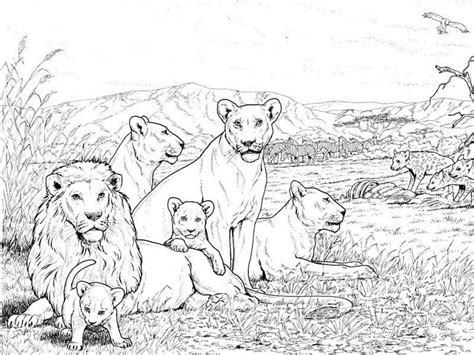 Age 4 Coloring Pages