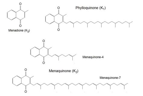 Vitamin K Structure