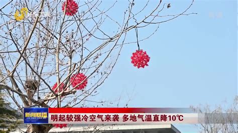 山东多地大年初一气温升至近20℃ 创近10年新高 山东新闻联播 山东卫视 山东网络台 齐鲁网