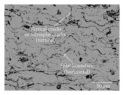 The Cross Section Views Of Sem Micrograph Showing Splat Boundaries In