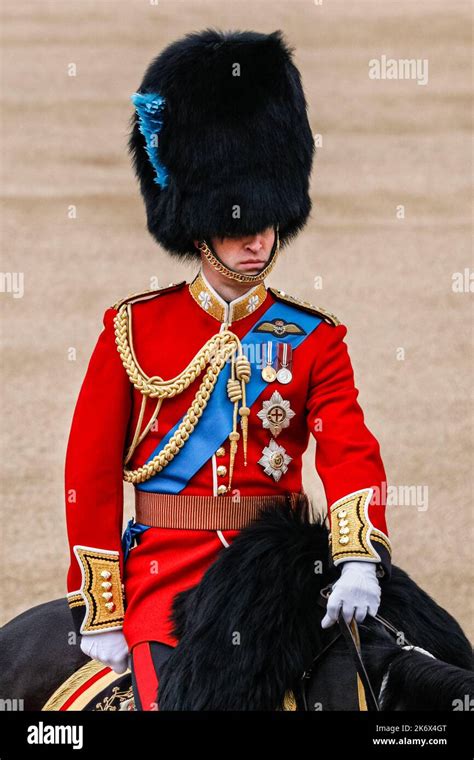 Prince William, now the Prince of Wales, in ceremonial uniform of the ...