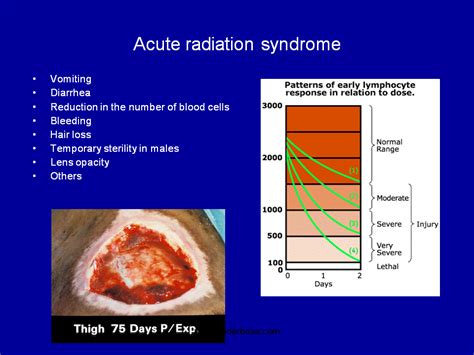 Identified Space Radiation Risks