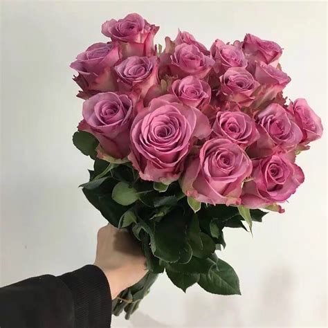 High Quality Long Stem Natural Bulk Flowers Fresh Cut Roses From China