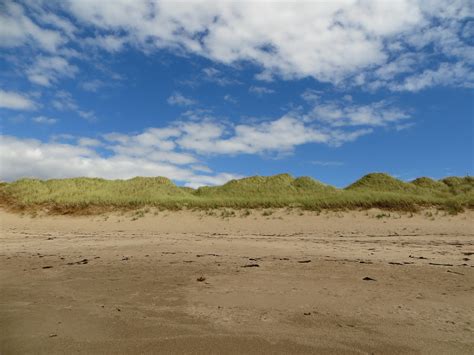 Sand Dunes Beach Heaven - Free photo on Pixabay