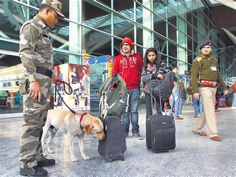 At Delhi Airport Cisf Also Keeps Tabs On Its Love Struck Staff