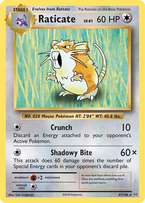 Raticate Evolutions Pokemon Card | Pikawiz