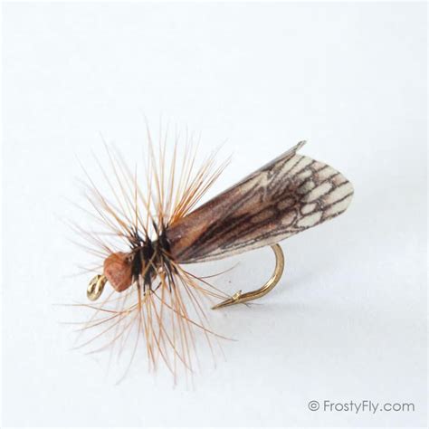 Realistic Caddis Fly Dry Ii Frostyfly