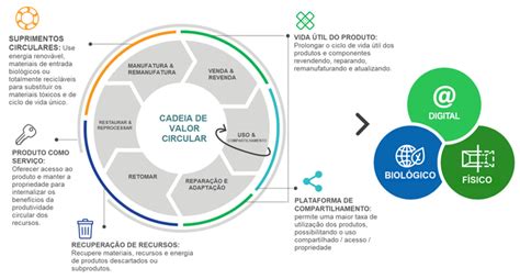 Os Modelos De Negócio Para A Economia Circular Upcycle