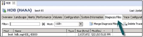 Sap Hana Log Configuration