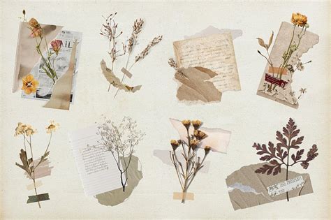 Vintage Ruled Paper Texture Images | Free Photos, PNG Stickers, Wallpapers & Backgrounds - rawpixel